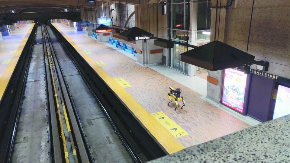 Un chien robot se promène à Montréal! 🐶 | Articles | Les as de l'info