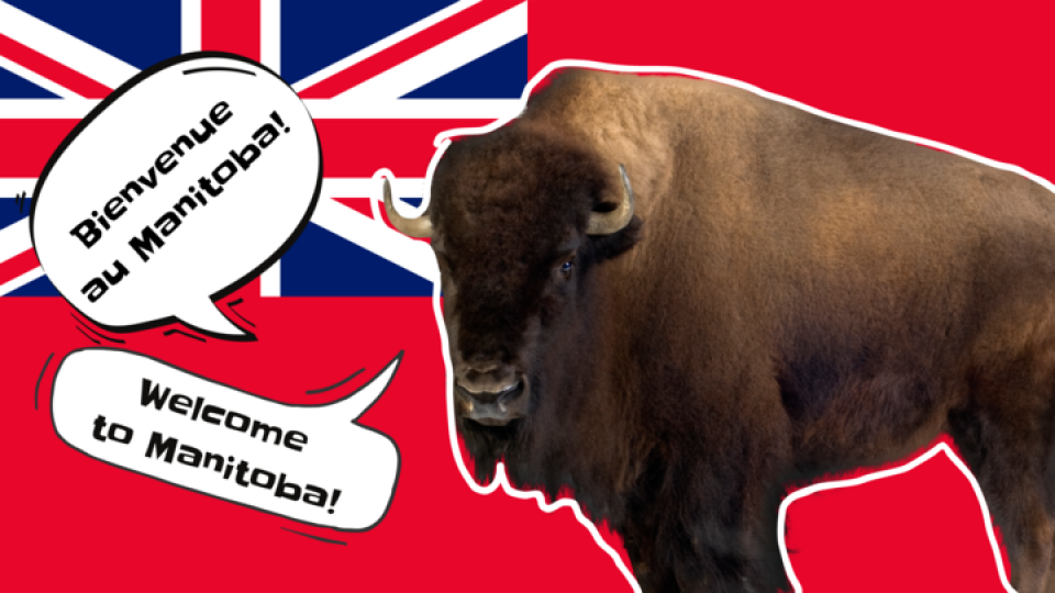 Un Manitoba very bilingue Articles Les as de l'info