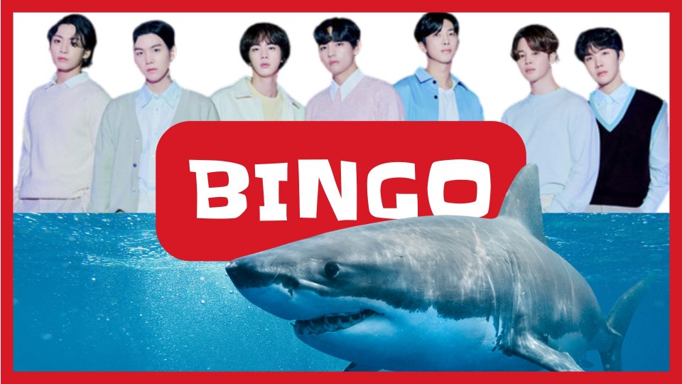 On aperçoit un groupe de K-pop en haut de l'image et un grand requin blanc en bas. Au milieu de l'image, on peut lire le mot Bingo en blanc sur un fond rouge.