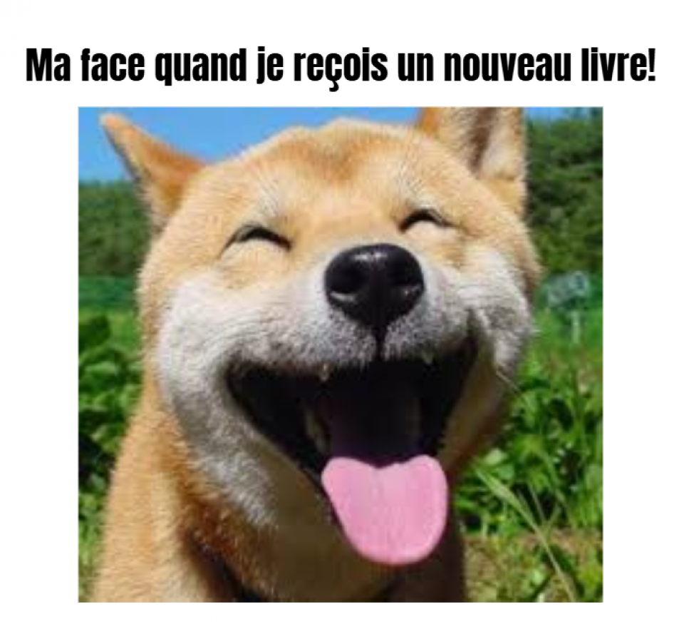 chien souriant 