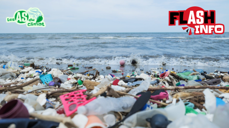 Une plage du Honduras, un pays d’Amérique centrale, est recouverte de déchets plastiques.