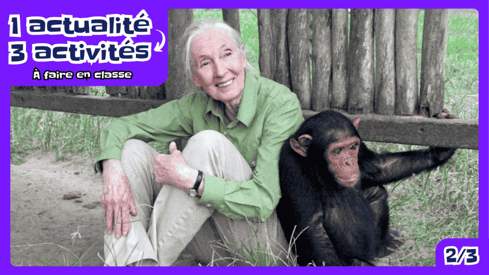 Jane Goodall assise côte à côte avec un chimpanzé
