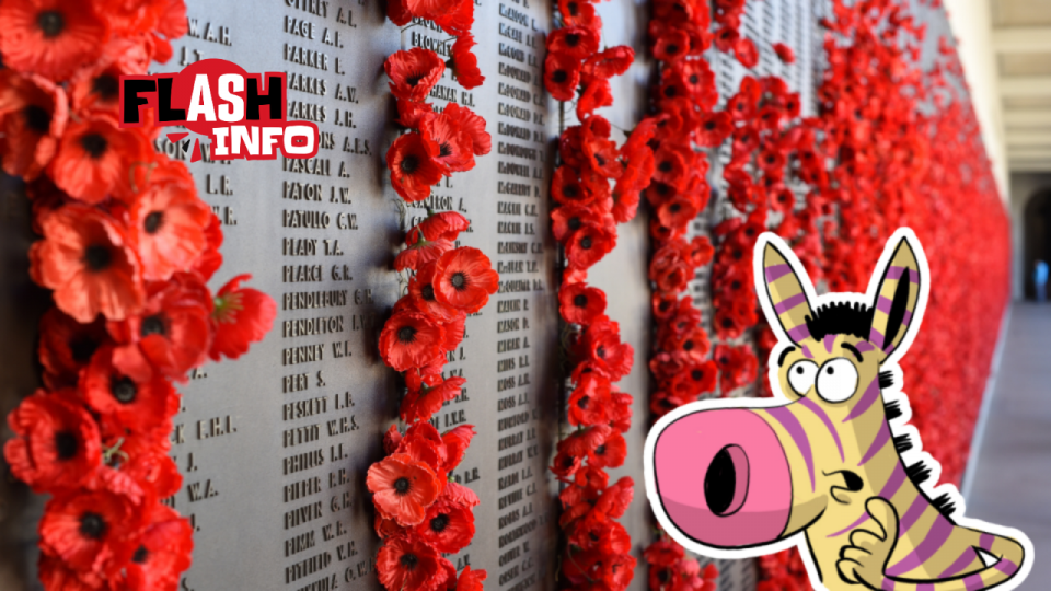 Un monument sur lequel est gravé une liste de soldats est décoré de coquelicots.