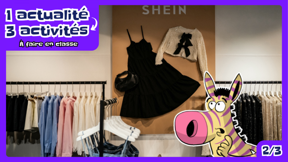 Activité pédagogique (2): C’est quoi le problème avec Shein