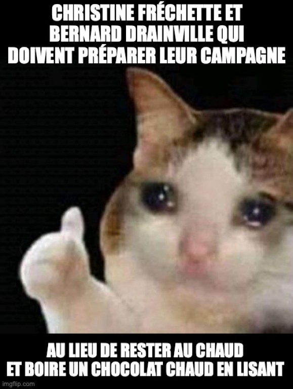 Chaton pixelisé avec une larme à l'oeil qui fait un pouce en l'air. Le texte se lit comme suit: « Christine Fréchette et Bernard Drainville qui doivent préparer leur campagne au lieu de rester au chaud et boire un chocolat chaud en lisant ».
