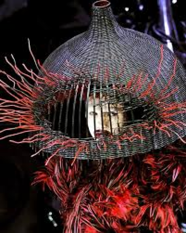 La chanteuse Lady Gaga porte un costume rouge et noir fait de plumes de cygne. Sur sa tête, elle porte un espèce de gros casque avec une ouverture au niveau du visage. Il ressemble à une lampe. Son visage est maquillé de blanc. 