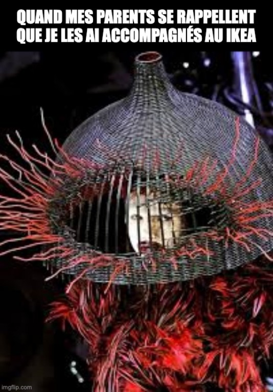 La même image avec inscrit au-dessus: « Quand mes parents se rappellent que je les ai accompagnés au Ikea ». Au cas où tu n'as pas entendu la première: La chanteuse Lady Gaga porte un costume rouge et noir fait de plumes de cygne. Sur sa tête, elle porte un espèce de gros casque avec une ouverture au niveau du visage. Il ressemble à une lampe. Son visage est maquillé de blanc. Il est écrit: Quand mes parents se rappellent que je les ai accompagnés au Ikea. 