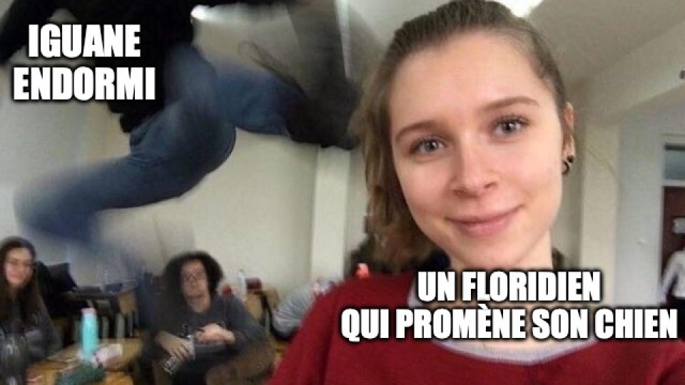 Une fille prend un selfie avec un sourire. Elle ne voit pas que derrière elle, très flou parce qu'il bouge rapidement, un gars lui tombe dessus avec un coup de pied épique. Sur lui, il est écrit: « Iguane endormi ». Sur elle, il est écrit: « un floridien qui promène son chien. »