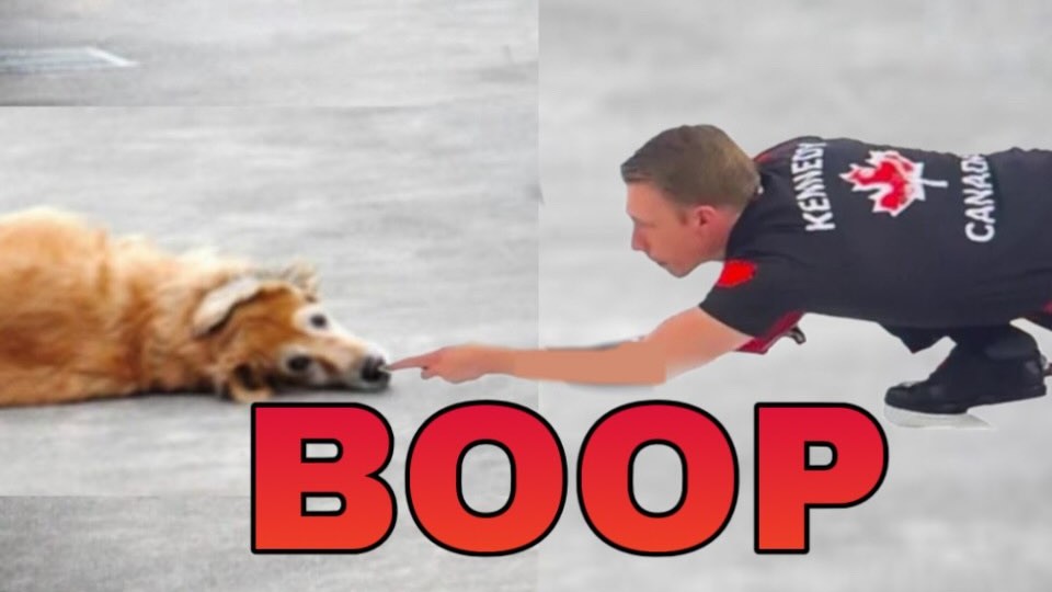Le joueur de curling canadien Marc Kennedy touche au nez d'un chien de race golden retriever couché sur la glace. Sous l'image, il est écrit: boop! 