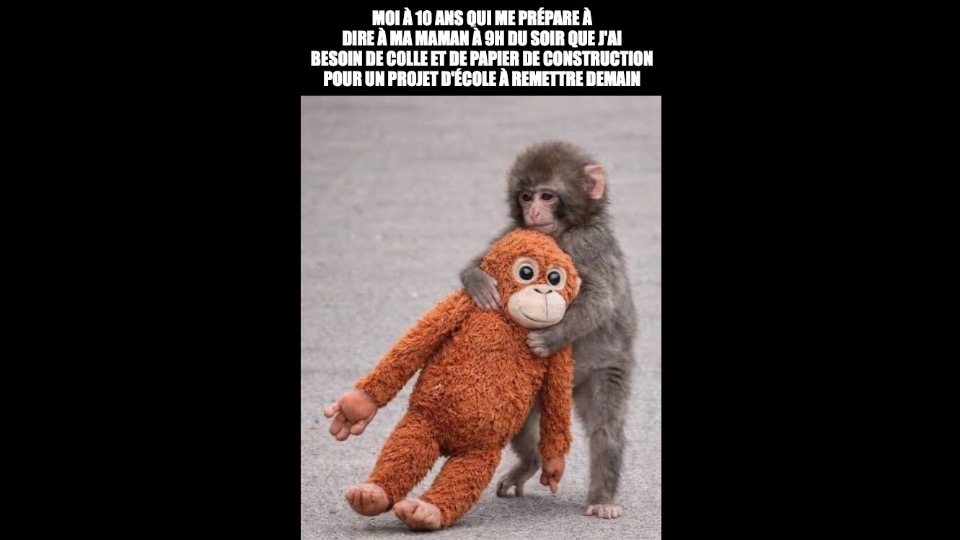 Un singe, Punch, tient son toutou réconfortant. Il est écrit: «moi à 10 ans qui me prépare à dire à ma maman à 9h du soir que j'ai besoin de colle et de papier de construction pour un projet d'école à remettre demain»