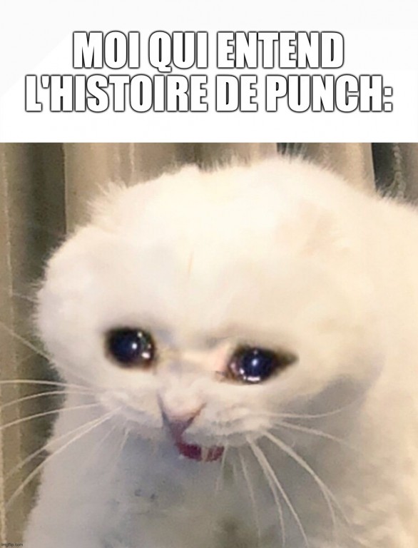 On voit un chat qui pleure. Il est écrit: «moi qui entend l'histoire de Punch». 