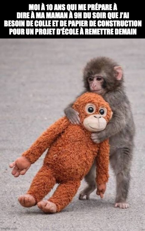 On voit Punch, un petit macaque, qui tient son toutou. Il est écrit: «MOI À 10 ANS QUI ME PRÉPARE À DIRE À MA MAMAN À 9H DU SOIR QUE J'AI BESOIN DE COLLE ET DE PAPIER DE CONSTRUCTION POUR UN PROJET D'ÉCOLE À REMETTRE DEMAIN».