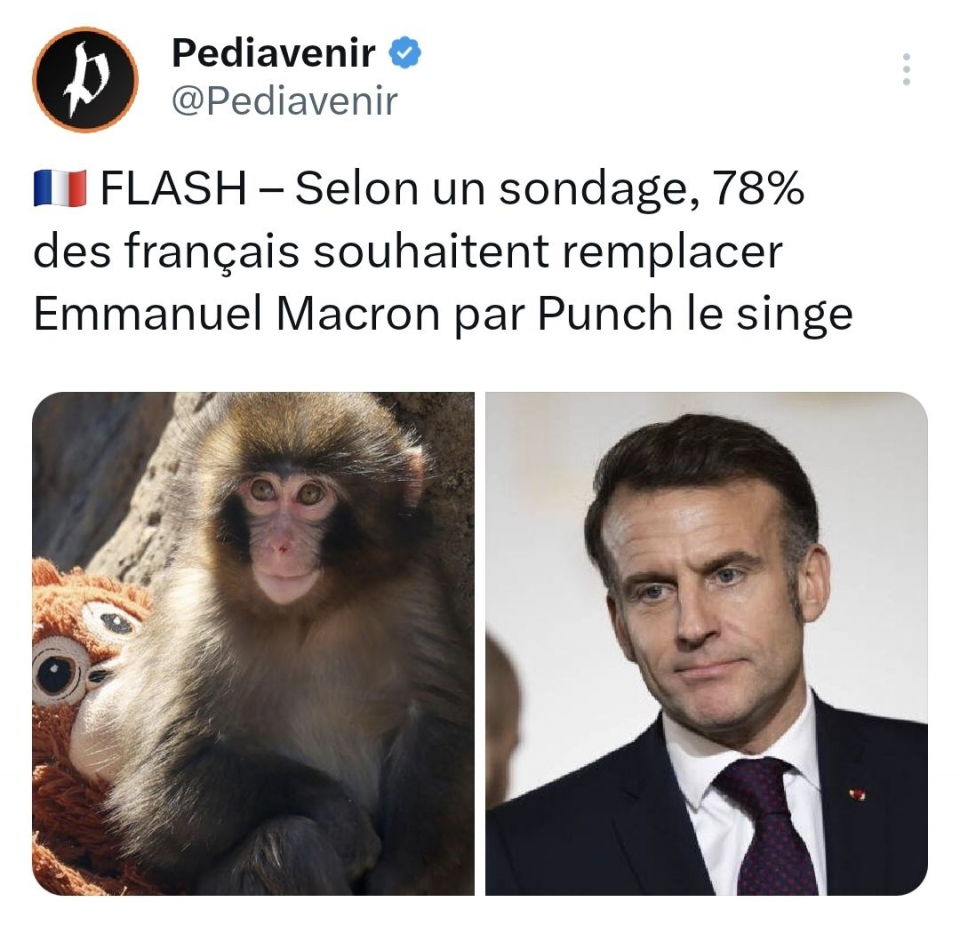 On voit une annonce: «FLASH - Selon un sondage, 78% des français souhaitent remplacer Emmanuel Macron par Punch le singe». Il y a une image de Punch, un jeune macaque, et du président de la France, Emmanuel Macron. 