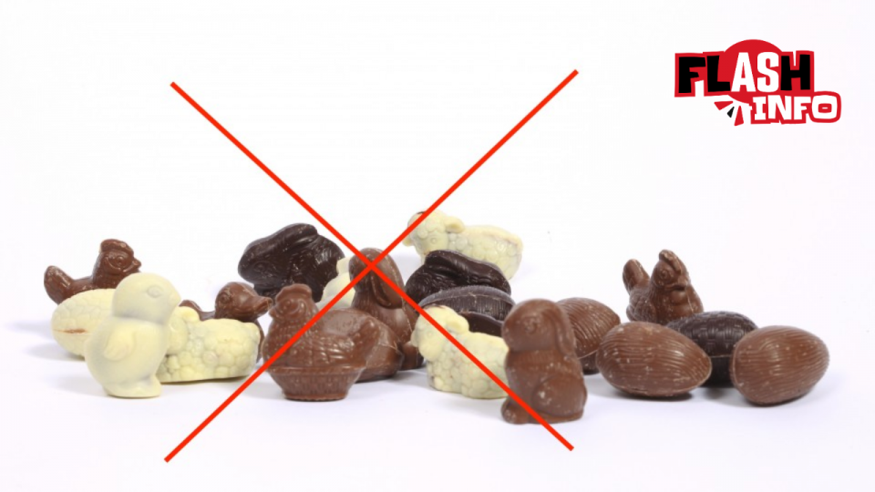 Un énorme X rouge est devant une belle douzaine d’animaux en chocolat.