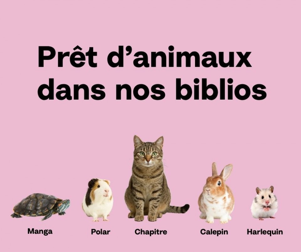En haut, il est écrit: « Prêt d'animaux dans nos biblios ». On voit une tortue nommée Manga, un cochon d’Inde nommé Polar, un chat nommé Chapitre, un lapin nommé Calepin et un hamster nommé Arlequin. 