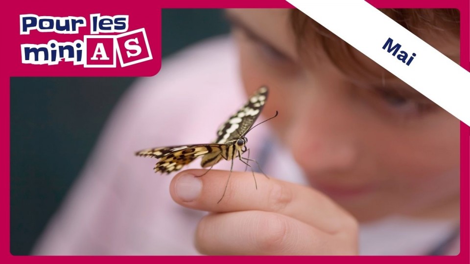 Un enfant observe un papillon posé sur son doigt