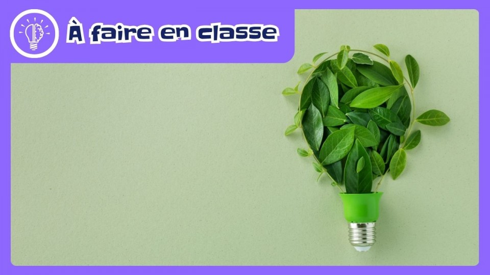 Un bulbe de lumière formé par des feuilles de plante verte