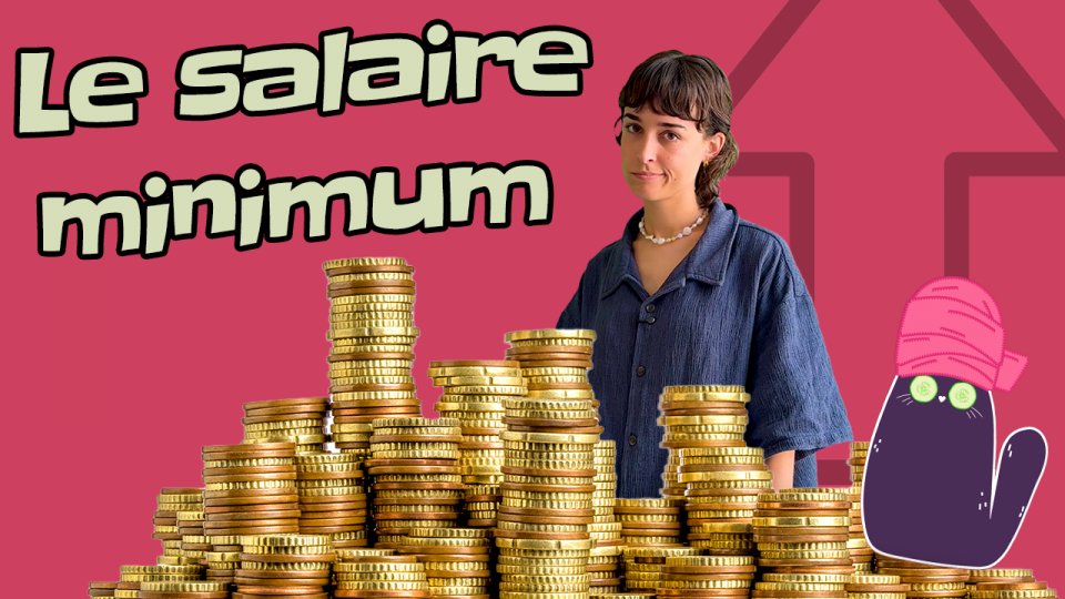On voit notre journaliste Mélanie Loubert entourée de pièces d'argent qui sont de couleur dorée. Au-desus, il est écrit « le salaire minimum ». À côté d'elle, il y a un dessin d'un chat avec des concombres sur les yeux et une serviette sur la tête, en mode relaxe. Derrière elle, il y a une flèche qui monte, pour faire penser à l'augmentation. 