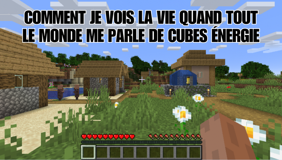 On voit un village dans le jeu Minecraft. Tout est en cube. En haut, il est écrit: « Comment je vois la vie quand tout le monde me parle de cubes énergie ». 