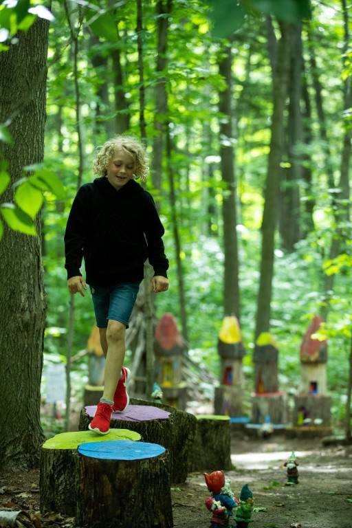 On voit un jeune garçon marcher sur des troncs d'arbres coupés pour faire un chemin. Leur centre est peinturé en jaune, en rose ou en bleu. À côté du jeune, il y a des figurines de gnome. 