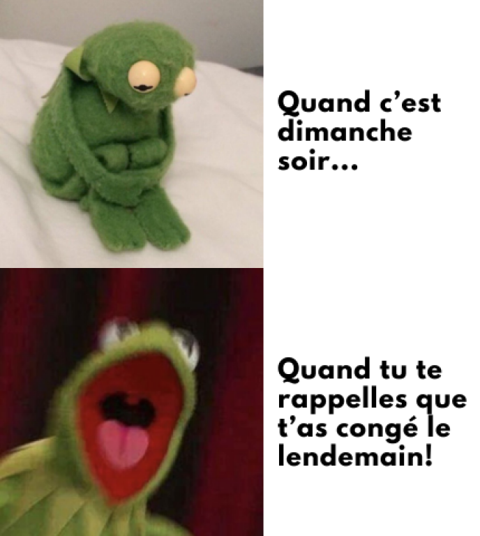 Dans la case en haut, on voit la marionnette Kermit la grenouille qui se tient les genoux, la tête penché. Il a l'air triste. À côté de lui, il est écrit: « Quand c'est dimanche soir... ». Dans la case en bas, on voit Kermit la grenouille la bouche grande ouverte, en train de crier de joie. À côté de lui, il est écrit: « Quand tu te rappelles que t'as congé le lendemain! »