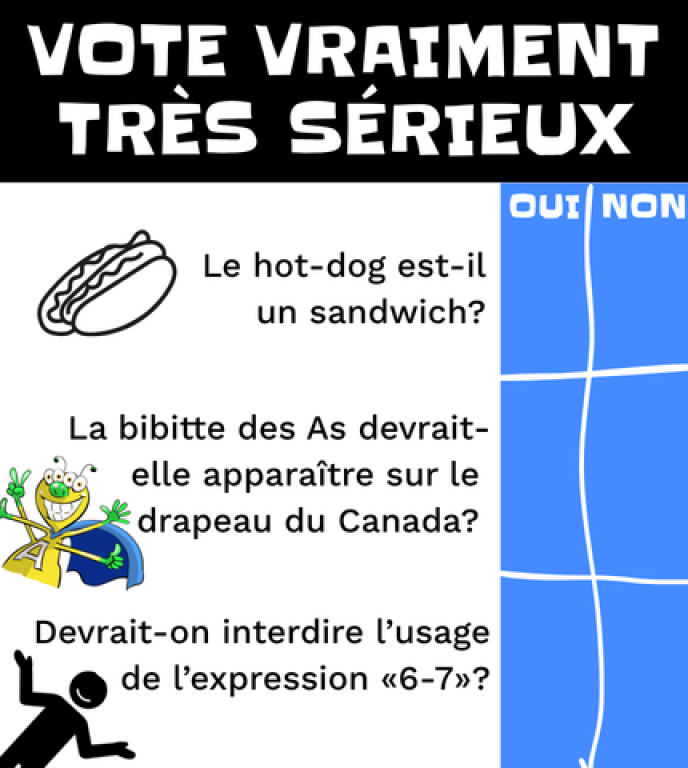 Il est écrit: Vote vraiment sérieux. En dessous, il y a l'option de voter oui ou non. Les votes sont: Le hot-dog est-il un sandwich? La bibitte des As devrait-elle apparaître sur le drapeau du Canada? Devrait-on interdire l'usage de l'expression «6-7»?