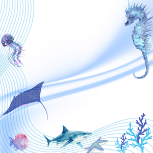 Cadre d'avatar de l'utilisateur Colibrille✨