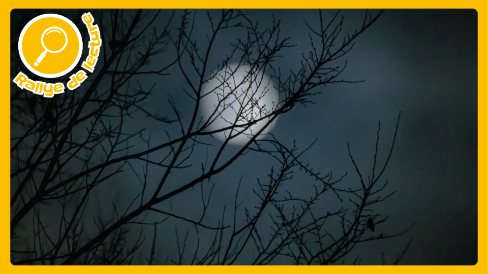 la lune dans une ciel noir